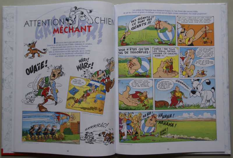 Idefix Album Fr_2015 Innen 2.jpg