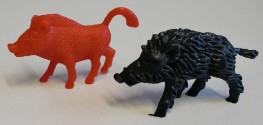 2 verschiedene Wildschwei